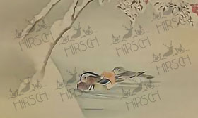 Pair of ducks