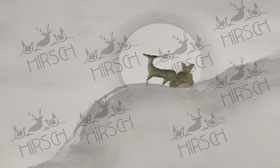 Deers