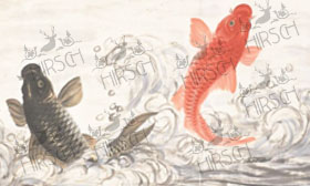 Koi Carp Pair