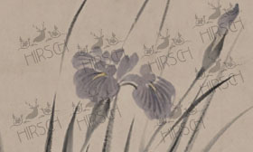 Iris flower