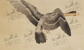Goose in flight