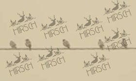 Birds laid
